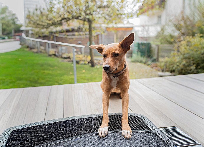 Kleine Bella